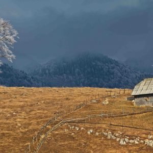 a rustic house in the autumn landscape